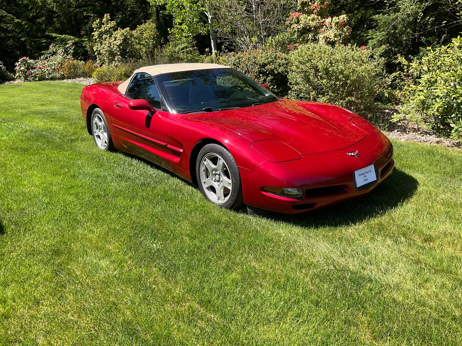 1999 corvette for sale